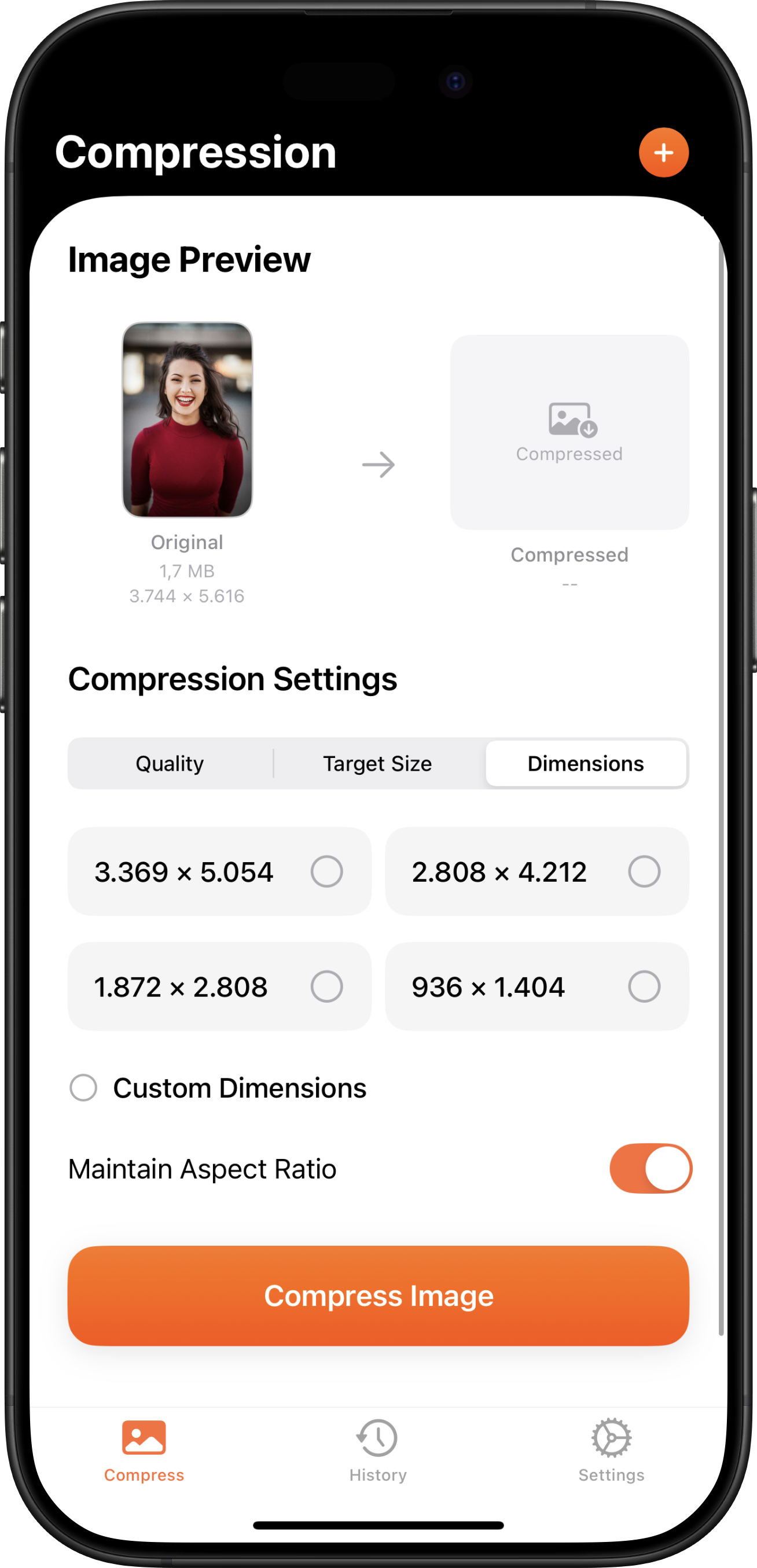 iOS Native Interface Screenshot
